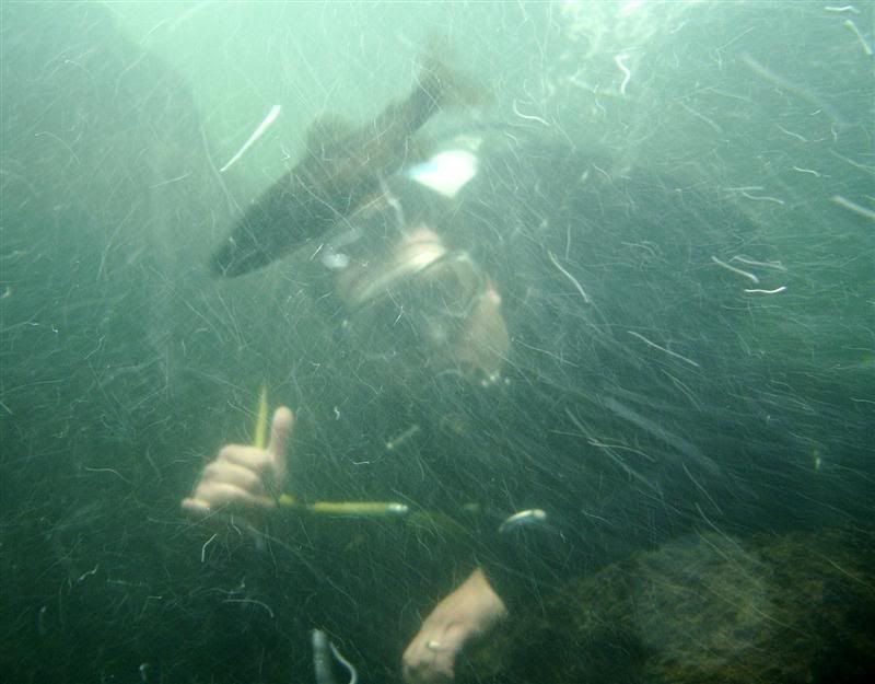 Firehole River, Yellowstone Nat'l Park (Wyoming) Northwest Dive Club
